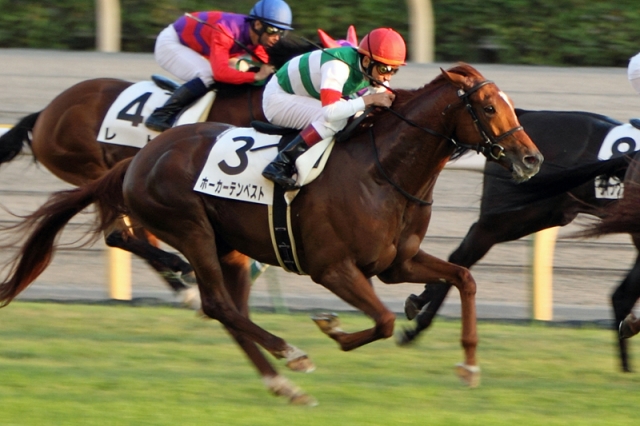 2012年10月20日　1000万下 ホーカーテンペスト