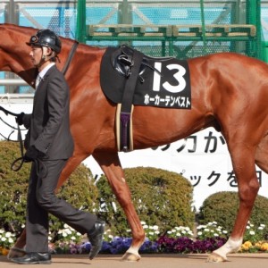 2013年3月16日　韓国馬事会杯