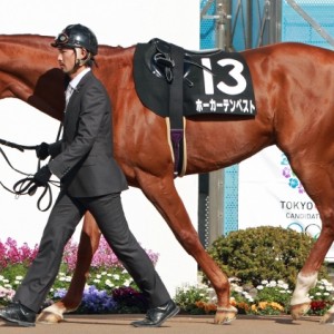 2013年3月16日　韓国馬事会杯