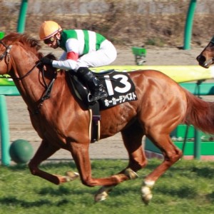 2013年3月16日　韓国馬事会杯