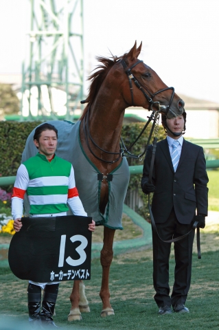 2013年3月16日　韓国馬事会杯 ホーカーテンペスト