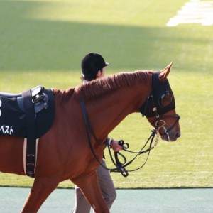 2014年2月2日　節分ステークス