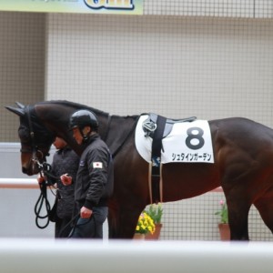 1800未勝利（ダート）パドック