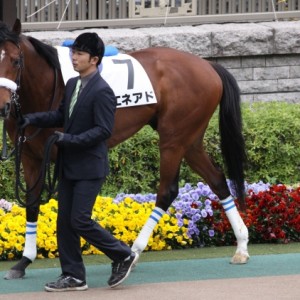 ４月２２日　３歳５００万下
