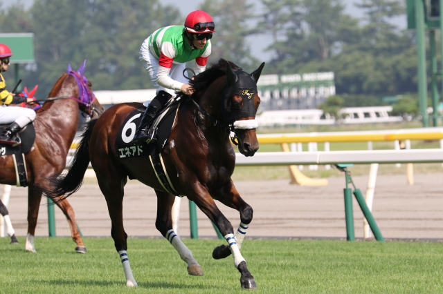 2015年古町特別　馬場入場 エネアド