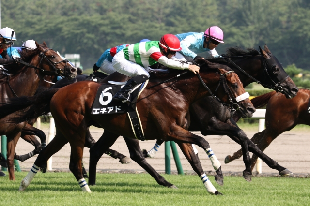 2015年古町特別　直線 エネアド