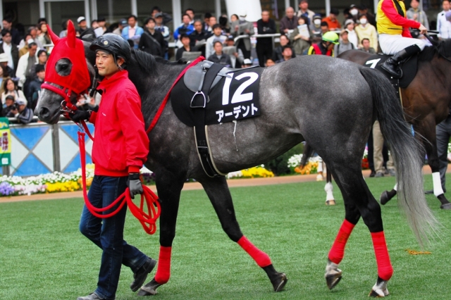 春興Ｓ優勝 アーデント
