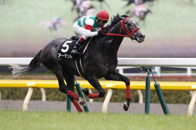 八ヶ岳特別 アーデント