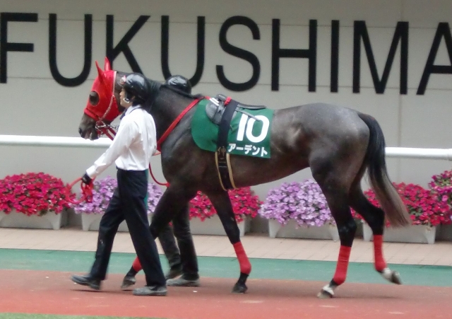 福島11R・ラジオNIKKEI賞（G３） アーデント