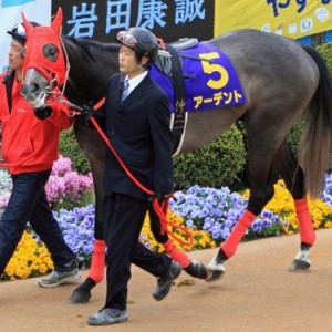 2012年4月15日　皐月賞