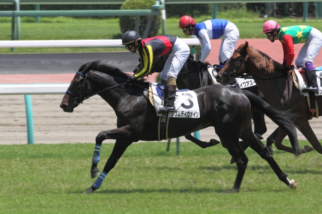 2011/7/9 中山５Ｒ ２歳新馬 リズムディヴァイン