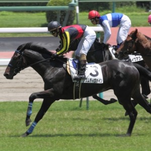 2011/7/9 中山５Ｒ ２歳新馬