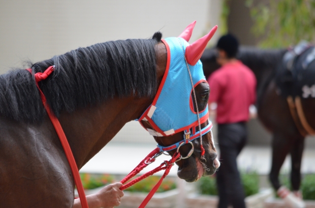 箕面特別パドック ヴァリアシオン