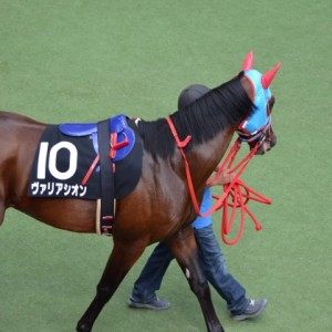 箕面特別パドック