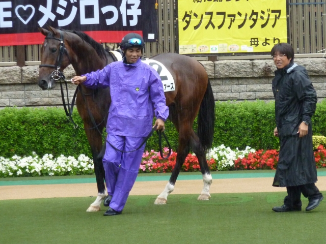 メイクデビュー東京パドックⅤ ライトヴァース