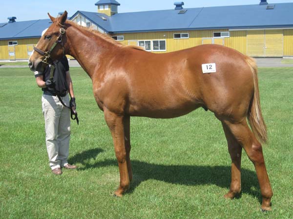 見学ツアーにて ブライテストソード