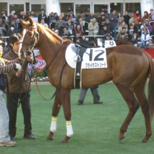 2011/12/24  新馬戦パドック