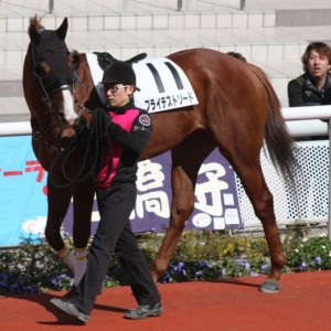 阪神500万以下パドック