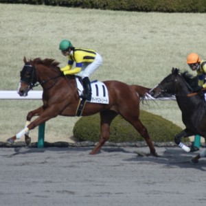 阪神500万以下スタート直後