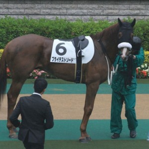 府中・4歳以上500万以下（ダ・１６００）