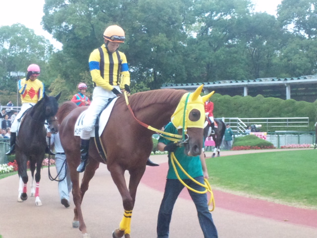 未勝利戦パドック3 インテンシティ
