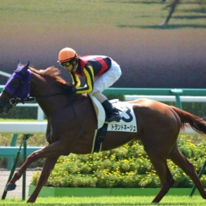 2011年9月10日　中山競馬場　未勝利戦