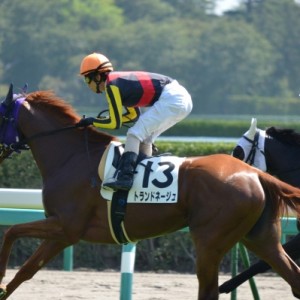 2011年9月10日　中山競馬場　未勝利戦