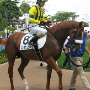 2011.09.17　中山　2歳未勝利　芝1800m