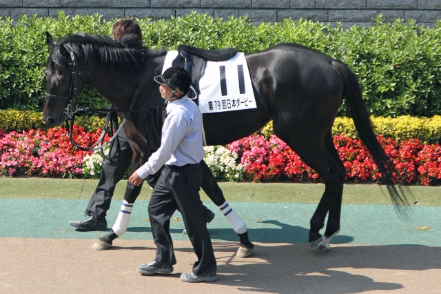 2012年5月27日　日本ダービー フェノーメノ