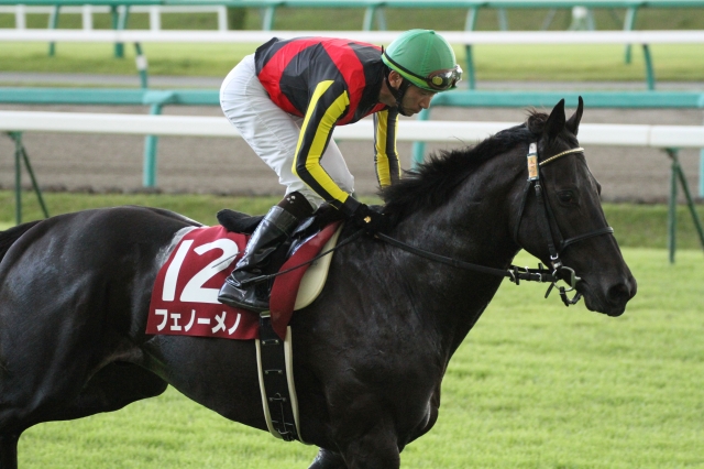 セントライト記念　返し馬 フェノーメノ