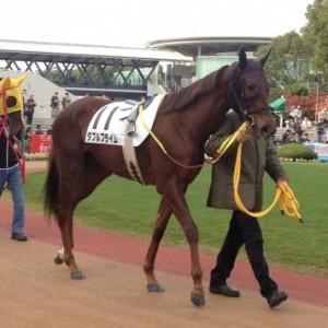 6回京都8日目 サラ系2歳未勝利 ダ1200m
