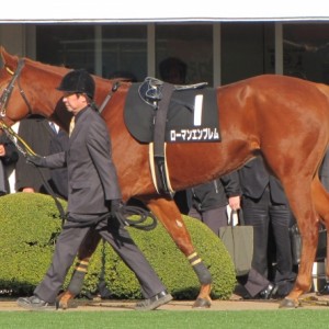 黒竹賞パドック