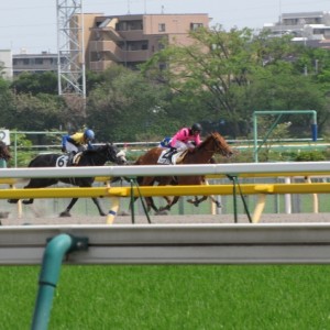 後1ハロンちょい！