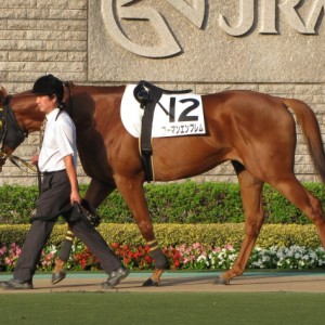 第10戦目パドック