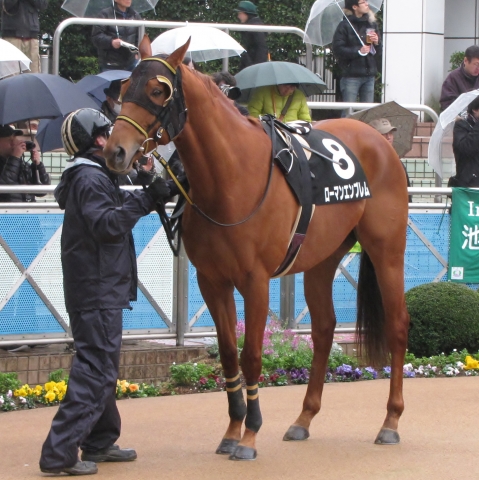潮来特別パドック ローマンエンブレム