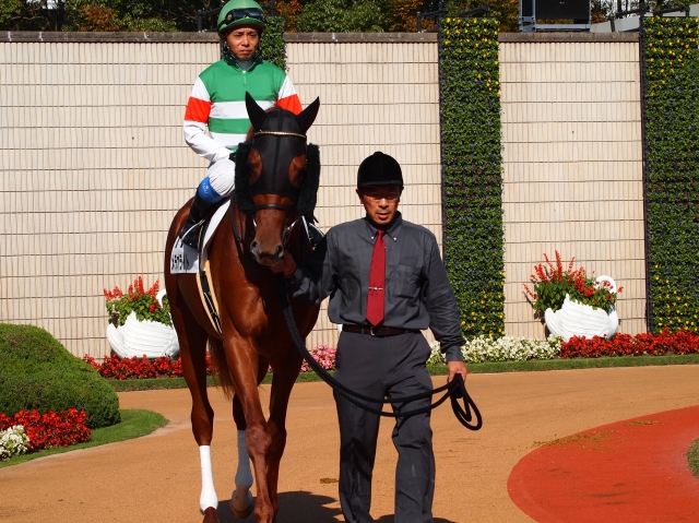 岩田騎乗で更に期待 メテオライト