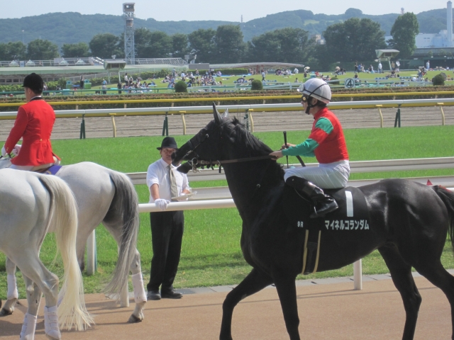 本馬場入場 マイネルコランダム