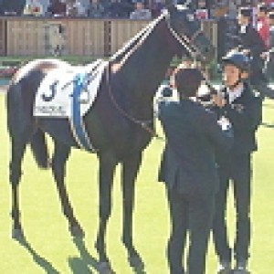 11/26 東京3R ２歳未勝利 芝1600m