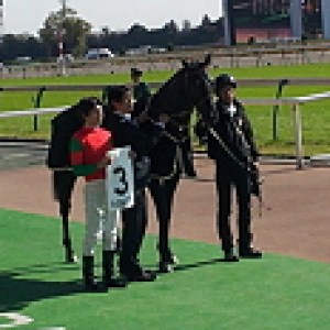 11/26 東京3R ２歳未勝利 芝1600m