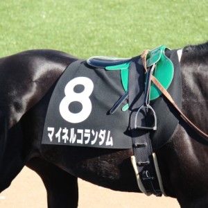 1/5 ジュニアカップ