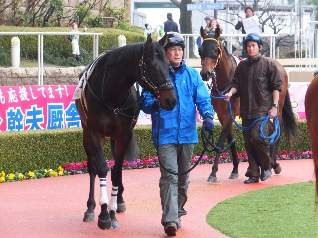 H27.2.22　小倉 マイネルアクロス