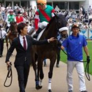 新馬戦　パドック