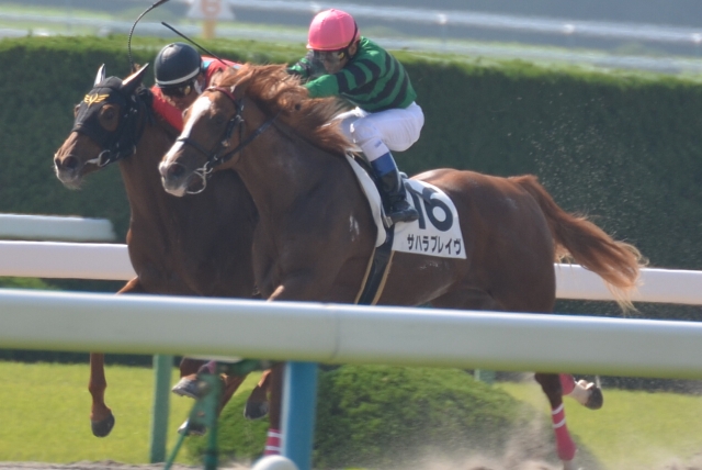 2歳未勝利 サハラブレイヴ