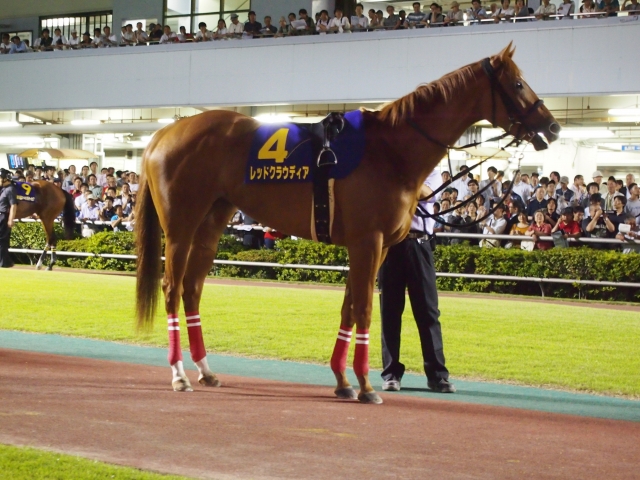 第16回　スパーキングレディーカップ レッドクラウディア