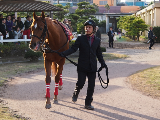 第５８回　クイーン賞 レッドクラウディア