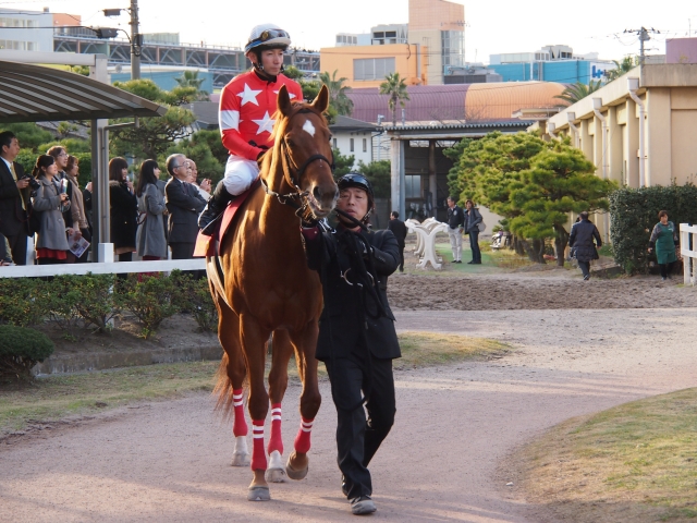 第５８回　クイーン賞 レッドクラウディア