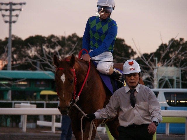 第7回　東京シンデレラマイル競走 レッドクラウディア