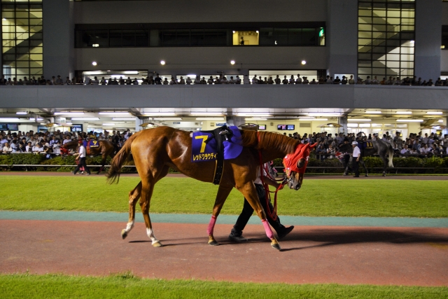 第18回　スパーキングレディーカップ レッドクラウディア