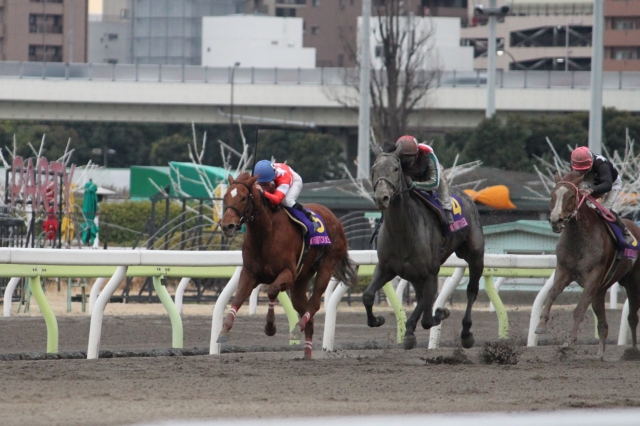 大井TCK女王盃レース02 レッドクラウディア