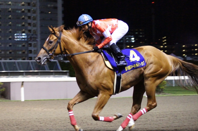 2012.7.4　スパーキングレディカップ　返し馬 レッドクラウディア